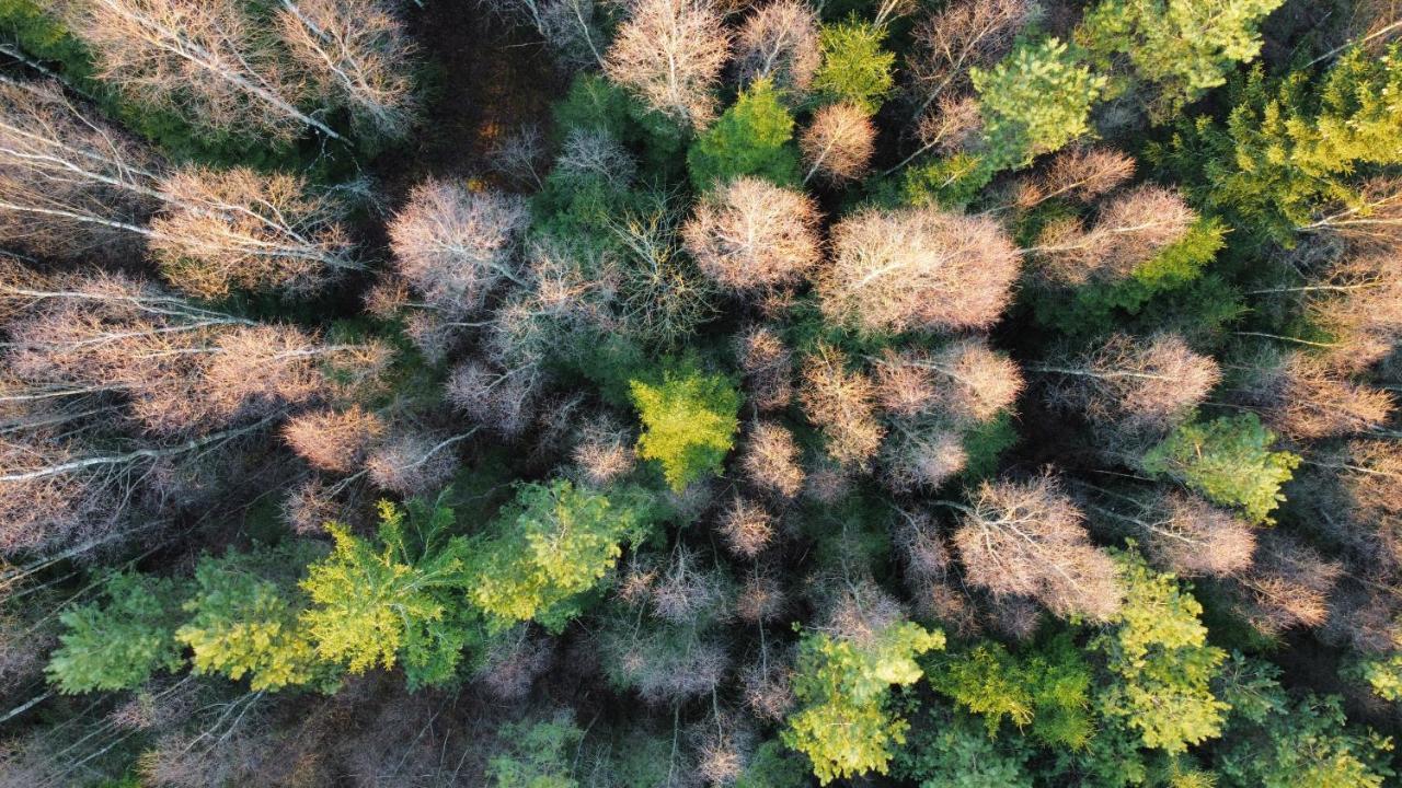 Mysig Och Modern Stuga Pa Snoegard, Naera Havet Och Naturen Lur  Екстер'єр фото