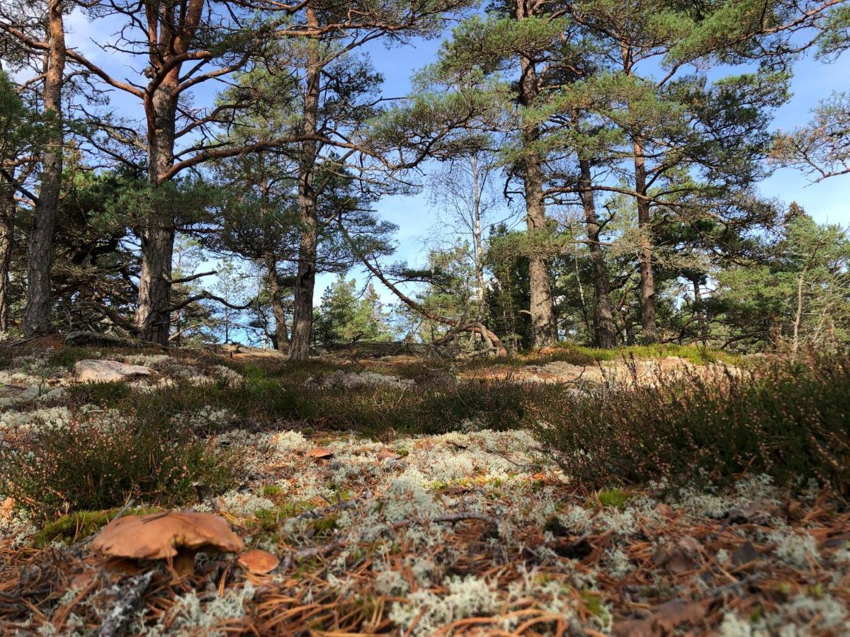 Mysig Och Modern Stuga Pa Snoegard, Naera Havet Och Naturen Lur  Екстер'єр фото
