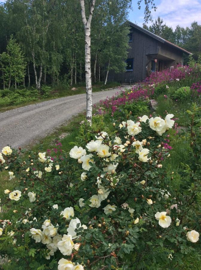Mysig Och Modern Stuga Pa Snoegard, Naera Havet Och Naturen Lur  Екстер'єр фото